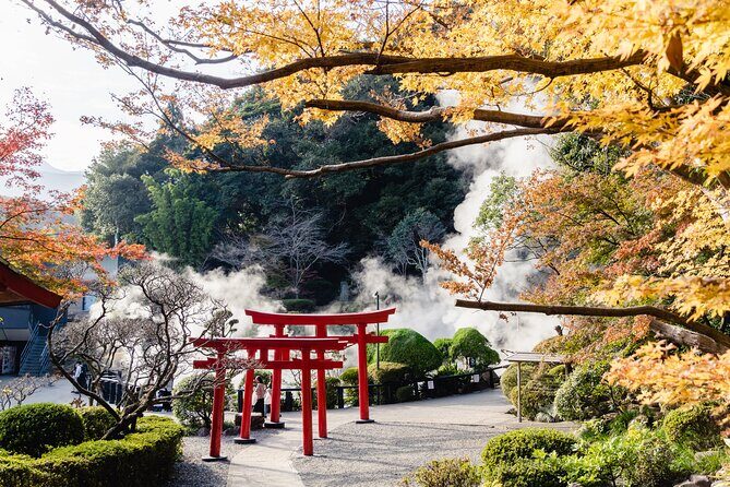 Beppu Private Customizable Full Day Tour - Who Is This Tour Best For?