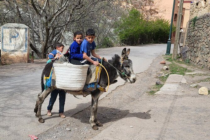 Berber Village Retreat: A Tranquil Escape to the Atlas Mountains - Who Would Enjoy This Tour?