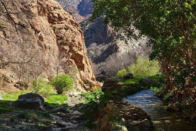 Berber villages : Atlas Mountains Day Hike from Marrakech - Final Thoughts