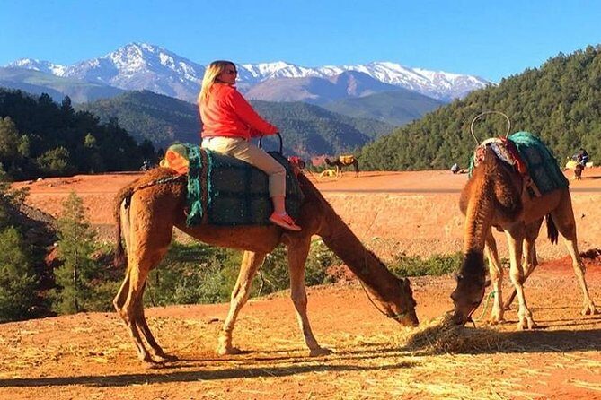 Berber Villages Day Trip & Camel Ride From Marrakech - FAQ