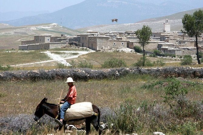 Berber villages trek Day trip - Key Points