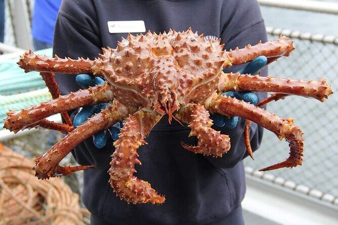 Bering Sea Crab Fisherman's Tour from Ketchikan - The Itinerary in Detail: What to Expect
