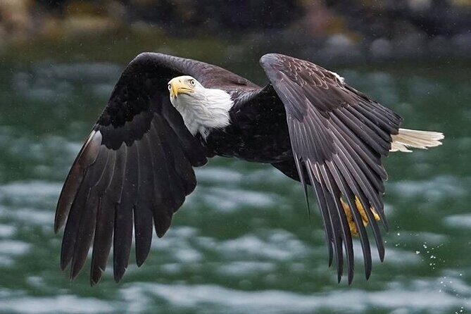 Bering Sea Crab Fisherman's Tour from Ketchikan - Final Thoughts: Why This Tour Should Be on Your Ketchikan List