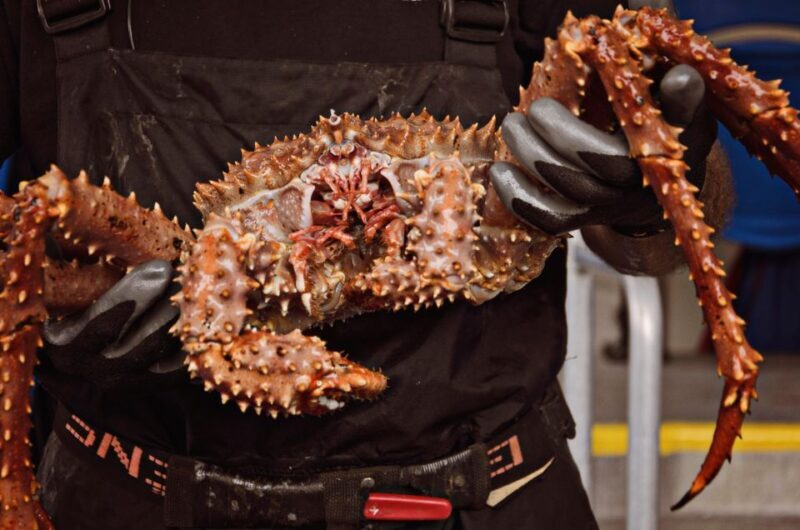 Bering Sea Crab Fishermen's Tour - Practical Details & Tips