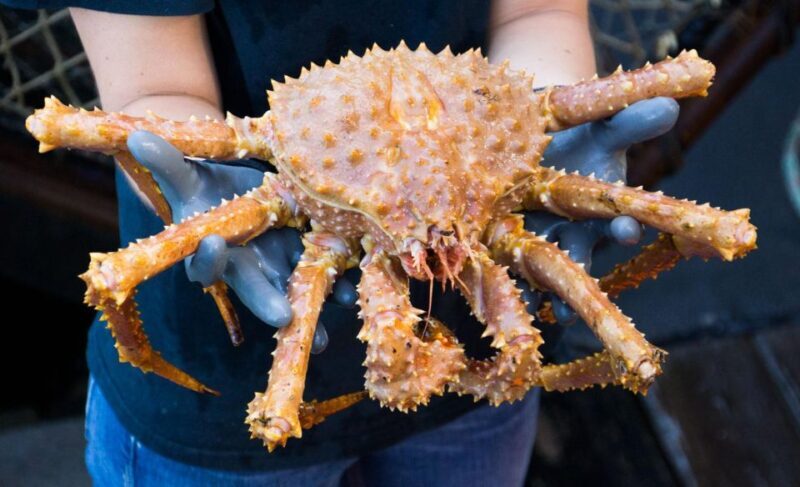 Bering Sea Crab Fishermen's Tour - The Sum Up: Is It Worth It?