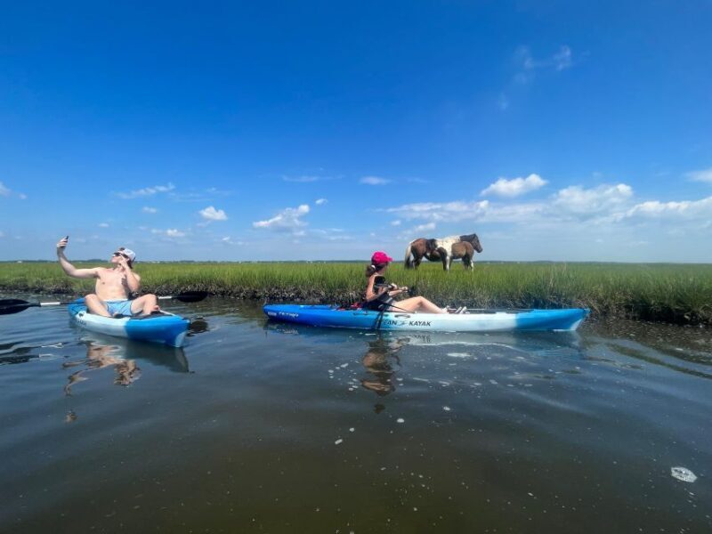 Berlin: Assateague Island Wildlife Discovery Kayak Tour - FAQs