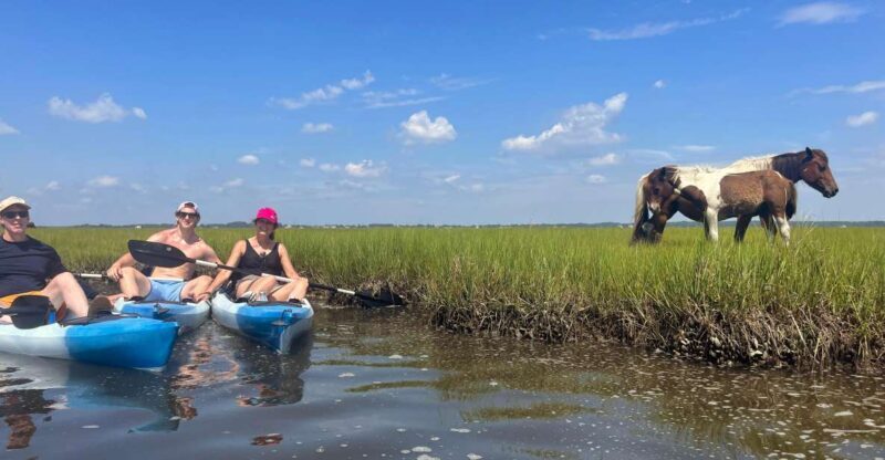Berlin, MD: Full-, Half, or Quarter-Day Kayak Rental - Discovering Maryland’s Coastal Bays by Kayak