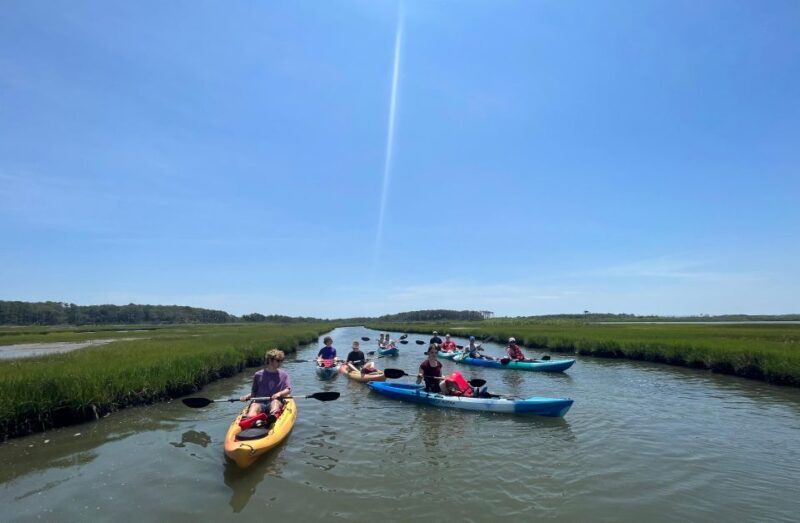 Berlin, MD: Full-, Half, or Quarter-Day Kayak Rental - Practical Tips for Your Kayaking Trip