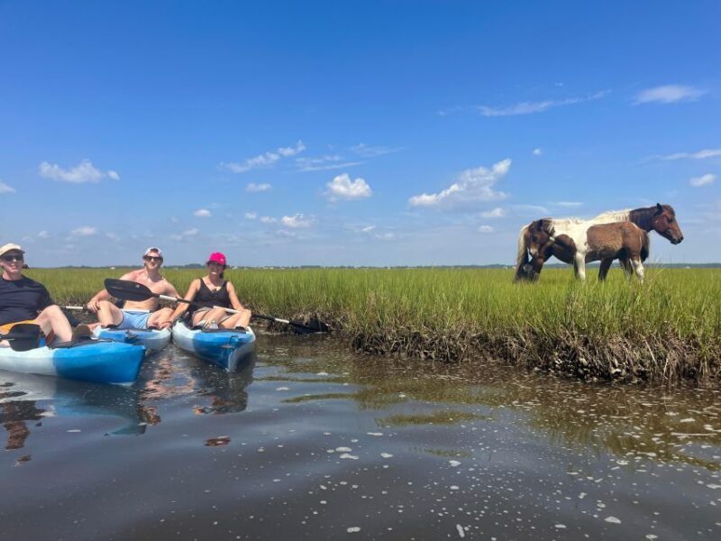 Berlin, MD: Full-, Half, or Quarter-Day Kayak Rental - Pricing and Value