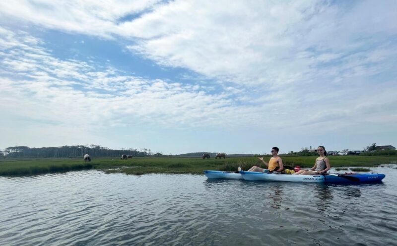 Berlin, MD: Full-, Half, or Quarter-Day Kayak Rental - FAQ