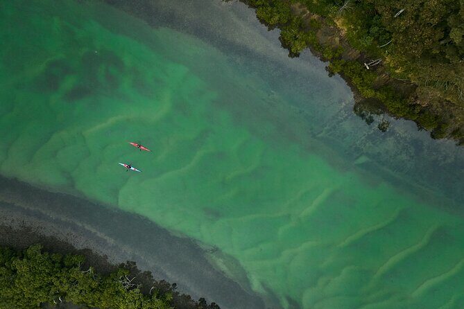 Bermagui River Kayak Tour - Key Points
