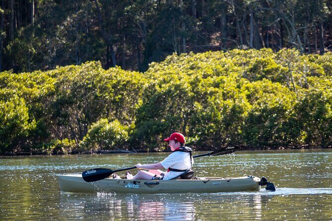 Bermagui River Kayak Tour - What to Expect During the Tour