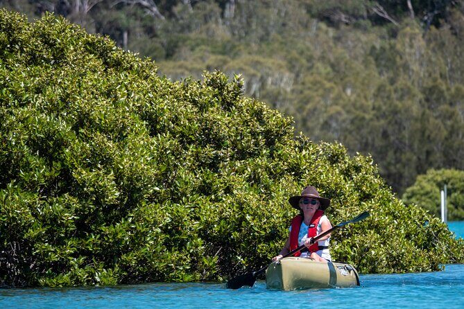 Bermagui River Kayak Tour - The Value of the Bermagui River Kayak Tour