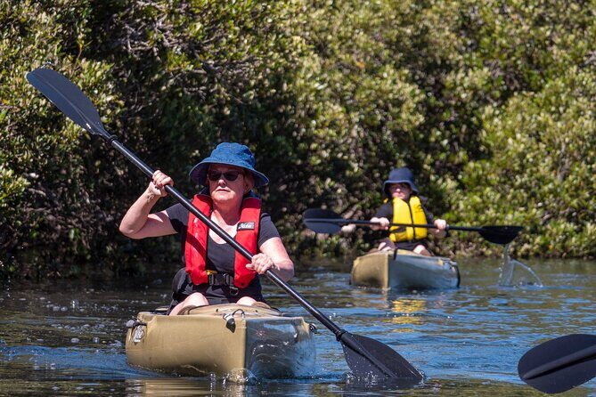Bermagui River Kayak Tour - Final Thoughts