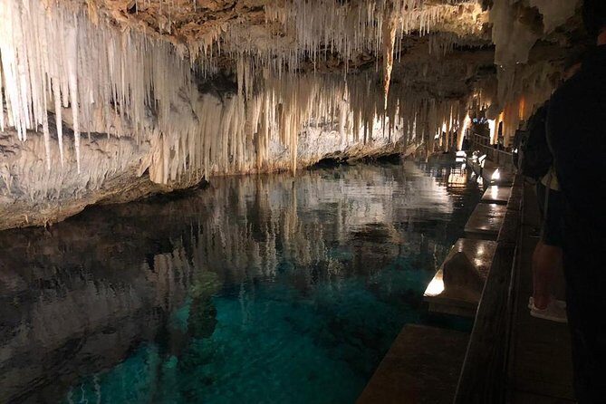 Bermuda Aquarium and Crystal Caves Admission - The Pros and Cons: What Travelers Say