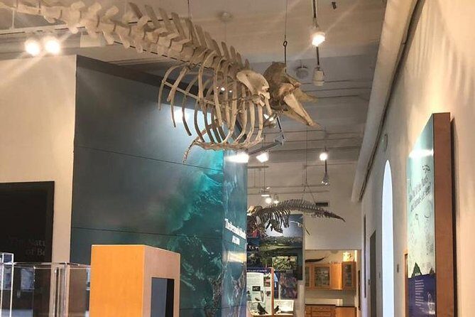 Bermuda Aquarium and Crystal Caves Admission - FAQ