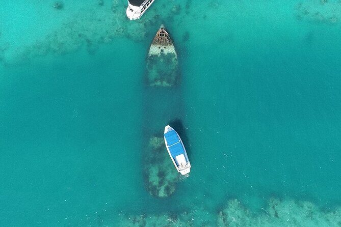 Bermuda Glass Bottom Boat Cruise - Key Points