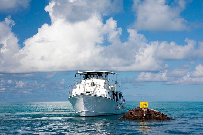 Bermuda Glass Bottom Boat Cruise - What to Expect from a Bermuda Glass Bottom Boat Cruise