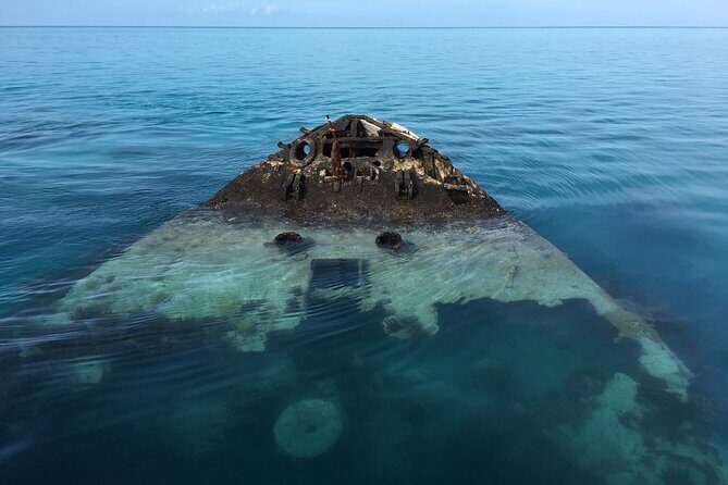 Bermuda Glass Bottom Boat Cruise - Who Would Enjoy This Tour?