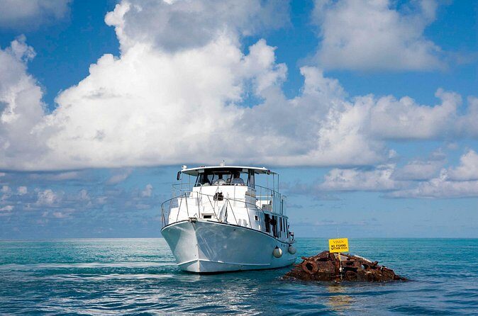 Bermuda Glass Bottom Boat Cruise - The Sum Up: Who Is This Tour Ideal For?