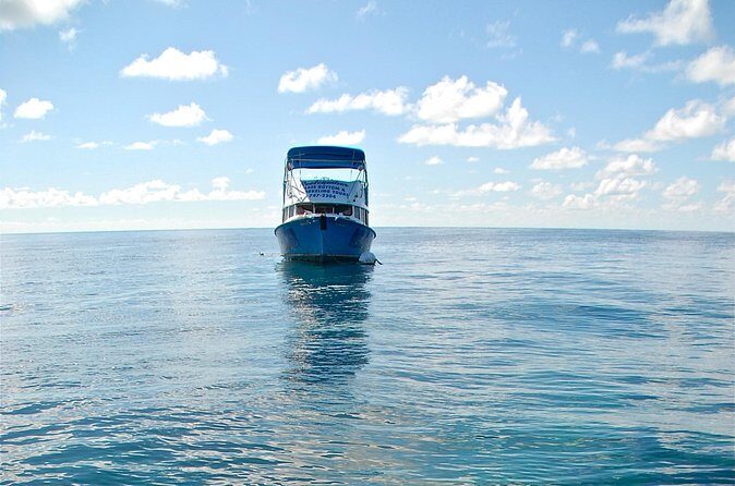 Bermuda Glass Bottom Boat Cruise - FAQs
