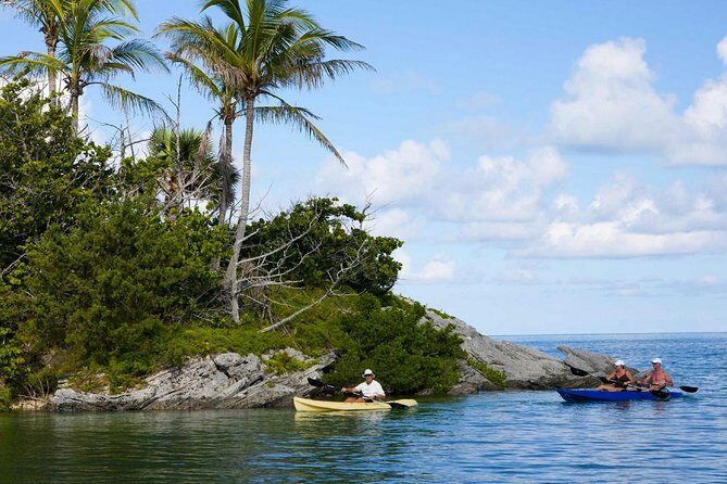 Bermuda Kayak Eco-Tour - Authentic Experiences & Traveller Insights
