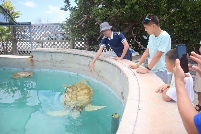 Bermudaful Half Island Tour - Exploring Bermuda’s Highlights