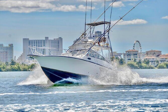 Bertram 35ft boat sport fishing cancun up to 6 passengers - The Fishing Gear and Amenities