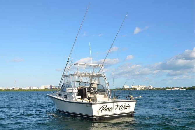 Bertram 35ft boat sport fishing cancun up to 6 passengers - The Value of This Tour
