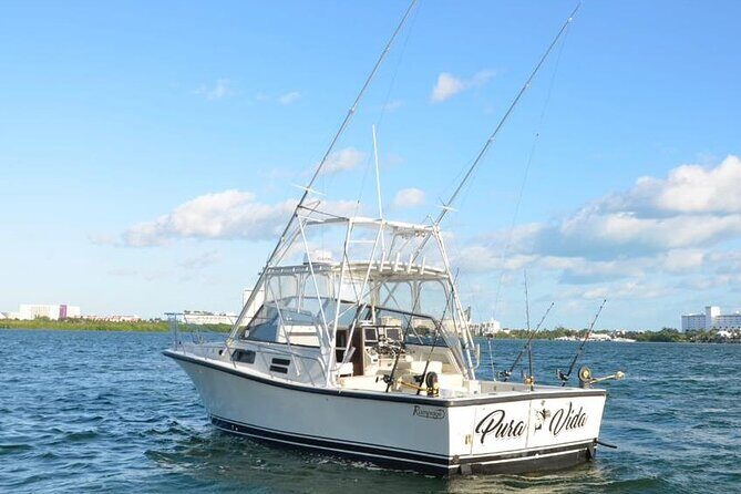 Bertram 35ft boat sport fishing cancun up to 6 passengers - Who Should Consider This Tour?