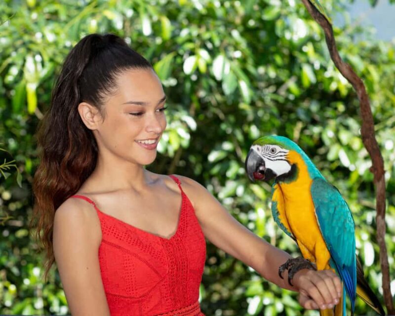 Bespoke Birdworld - An Intimate Experience! - Frequently Asked Questions