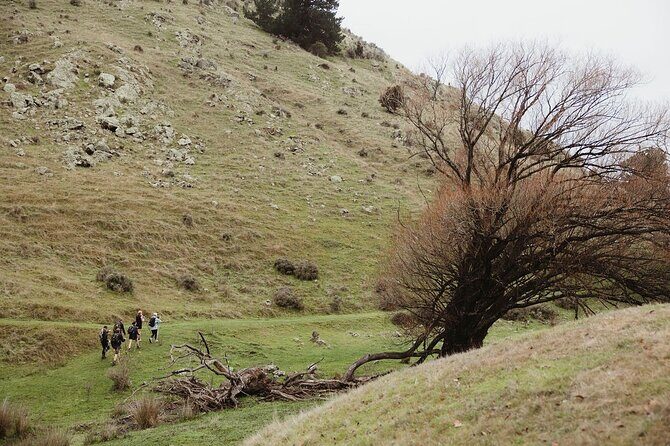Bespoke Guided High Country Hiking - How This Tour Compares and Who Should Consider It