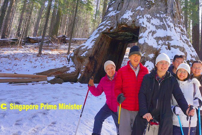 Best 1-Day Yosemite National Park Private Tour from San Francisco - Key Points