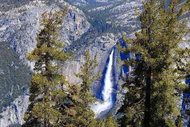 Best 1-Day Yosemite National Park Private Tour from San Francisco - The Experience: What Travelers Can Expect
