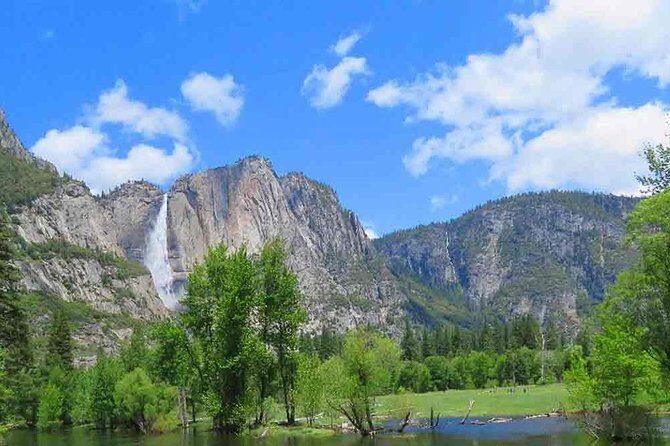Best 1-Day Yosemite National Park Private Tour from San Francisco - Who Will Love This Tour?