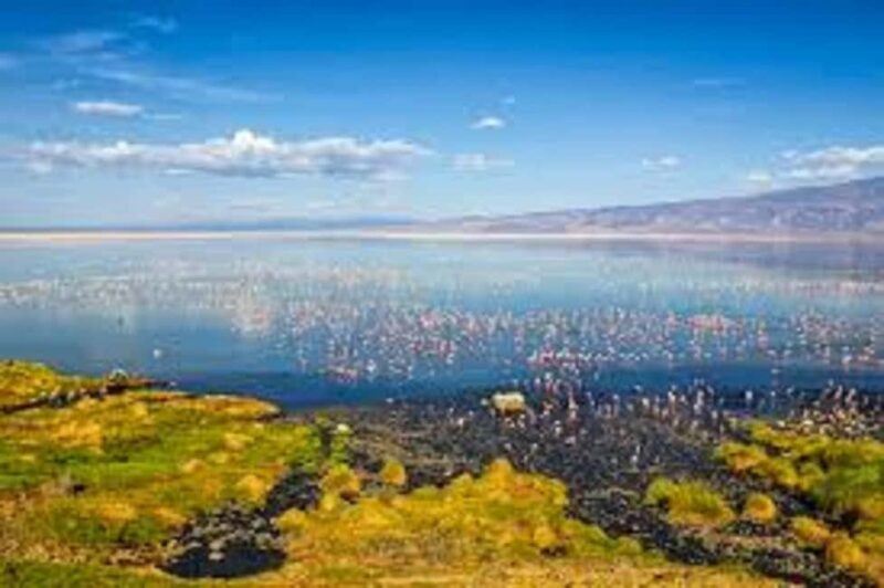 #Best 2-Day Lake Natron With OI Doinyo Lengai Hiking Tour - Key Points