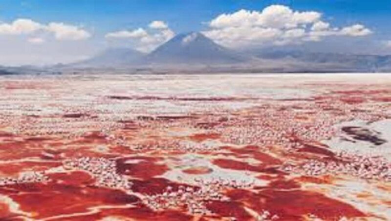 #Best 2-Day Lake Natron With OI Doinyo Lengai Hiking Tour - An In-Depth Look at the Lake Natron Experience