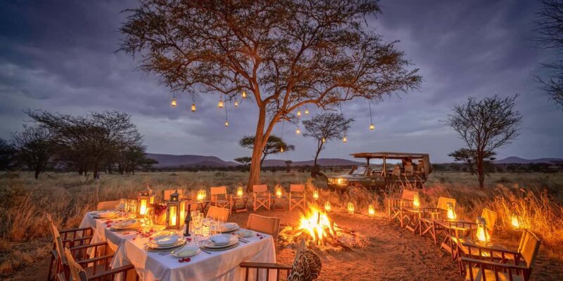 Best 3-Day Christmas Eve Safari to Tarangire and Serengeti - Final Thoughts