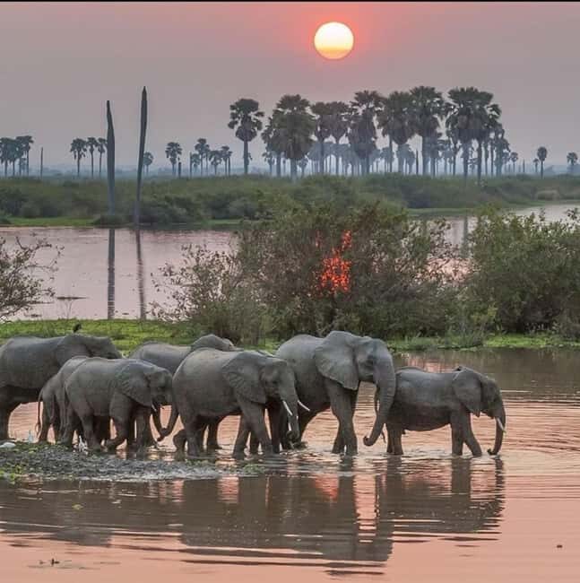 BEST 3-DAY TANZANIA SAFARI TOUR FROM ARUSHA - A Deep Dive into the 3-Day Tanzanian Safari