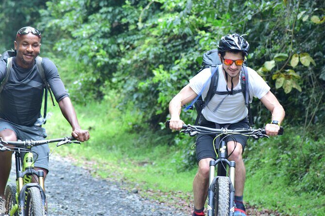 Best 5 Days Kilimanjaro Bike Trek Tour via Marangu Kilema Route - Day Two: Exploring Alpine Desert and Mawenzi Hut