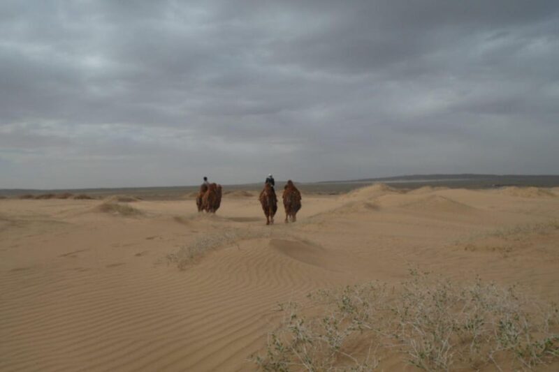 Best 6-Day Gobi Tour Discover Mongolia - The Practical Stuff: What You Should Know
