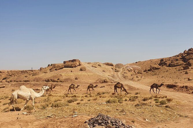 Best 9 days Desert Tour and imperial cities from Casablanca - Final Thoughts