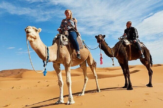 Best 9 Days tour from Casablanca via Desert & Marrakech - What Travelers Say