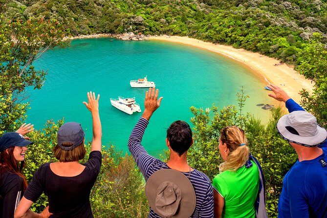 Best Abel Tasman Day trip - The Experience’s Strengths and Considerations