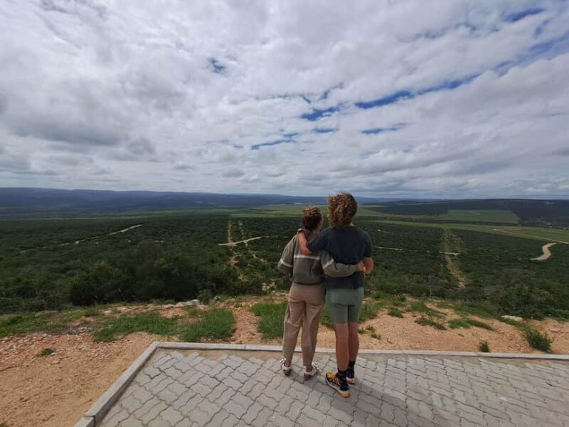 Best Addo Elephant park safari! - An In-Depth Look at the Addo Elephant National Park Safari