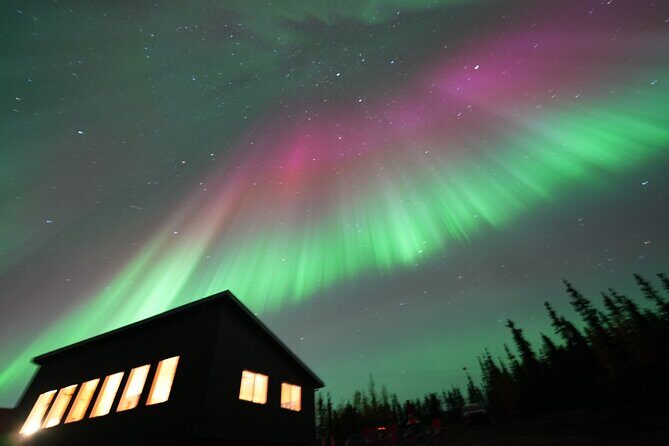 Best Alaskan Cabin Aurora Viewing with Photography @Aurora Camp - An Honest Look at the Aurora Viewing Experience