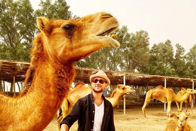 Best Bahrain Tour - Select 1 of 9+ Private & Shared Tours - FAQs