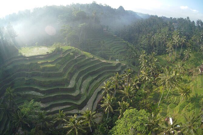 Best Bali Private Full Day Tour to Visit Ubud Village - Kintamani Batur Volcano - An In-Depth Look at the Itinerary