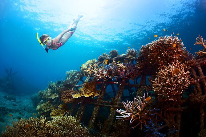 Best Bali Snorkeling at Blue Lagoon Beach: All-Inclusive - Who Should Consider This Tour?