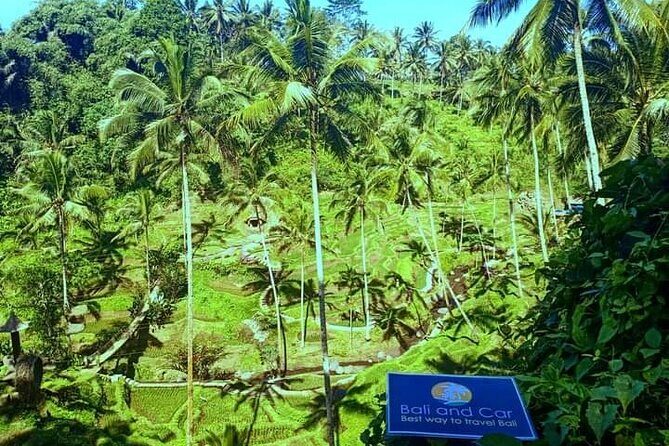Best bali transport service - custom your own itinerary - Who Will Love This Service?